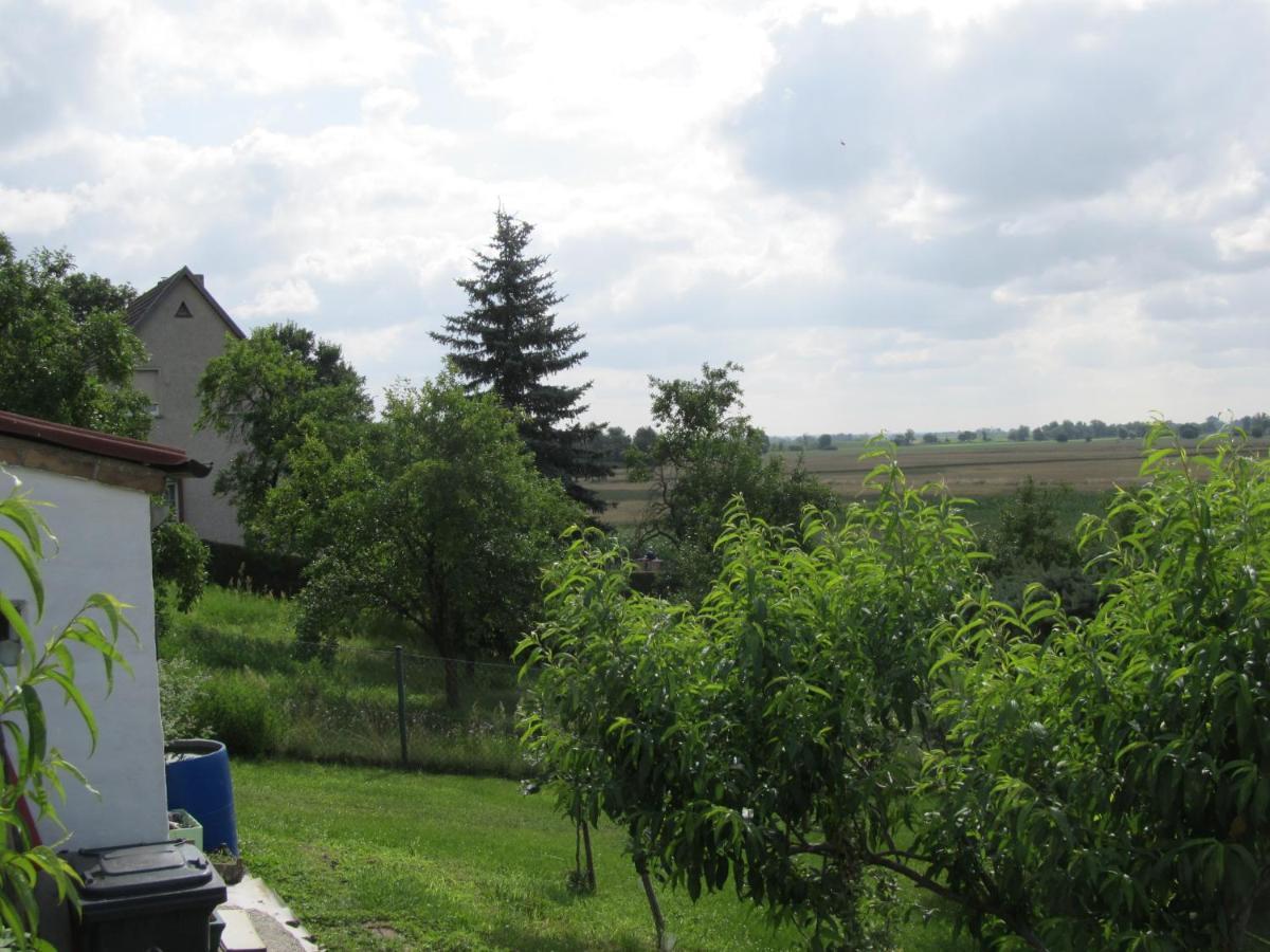 Zum Wiesengrund Im Oderbruch Altglietzen 외부 사진