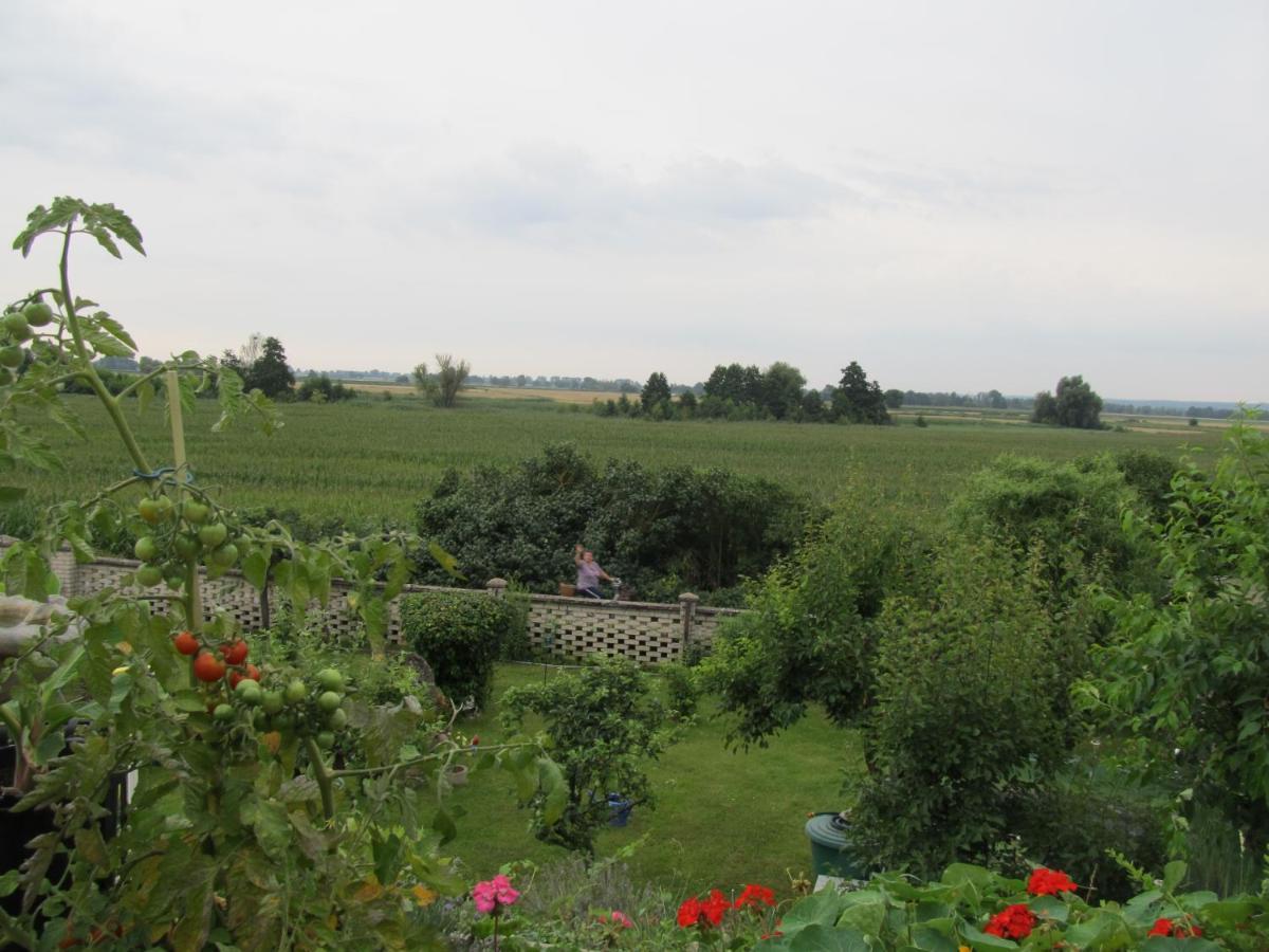 Zum Wiesengrund Im Oderbruch Altglietzen 외부 사진