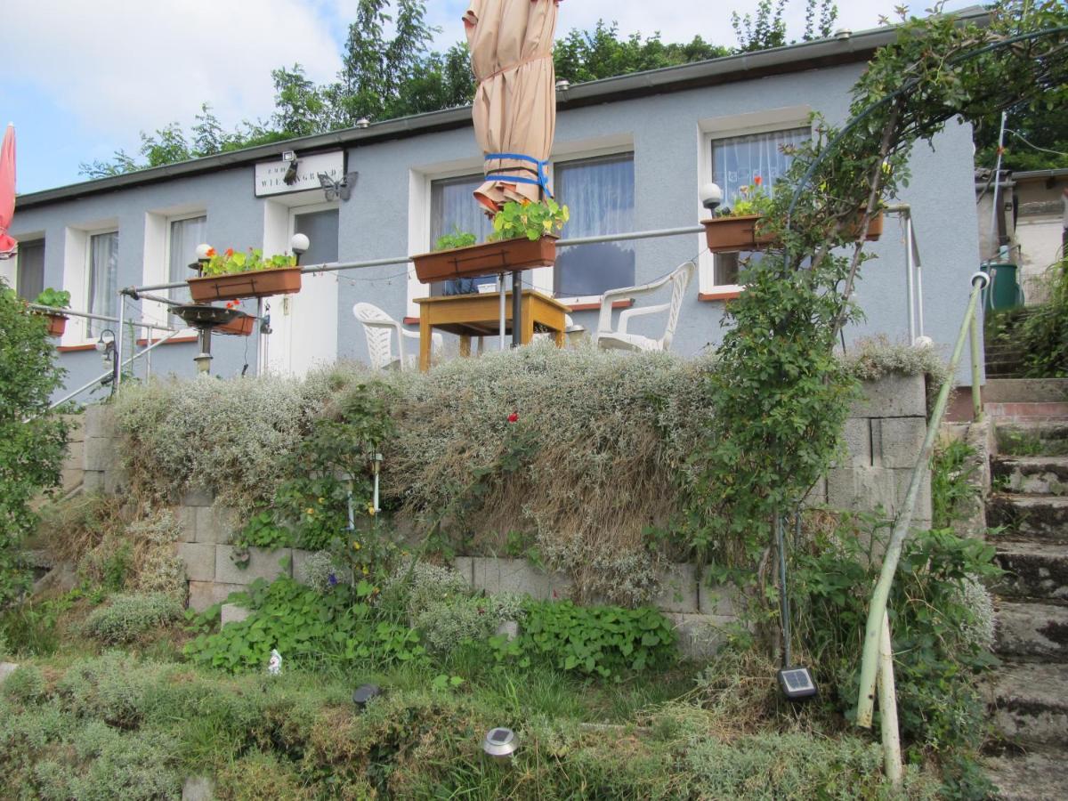 Zum Wiesengrund Im Oderbruch Altglietzen 외부 사진